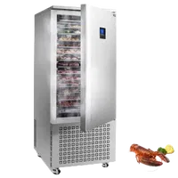 VEVOR Commercial Blast Freezer, 370 L / 13.1 Cu.ft Blast Chiller with 15 Trays, Blast Chiller Freezer Chest with 4 Freezing Modes, Stainless Steel Food Blast Freezer with Casters for Restaurant, Seafood | VEVOR US