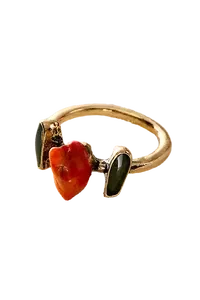 Protector Ring